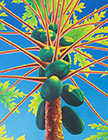 Papaya Tree
